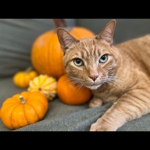 Meet your Posher, Beth